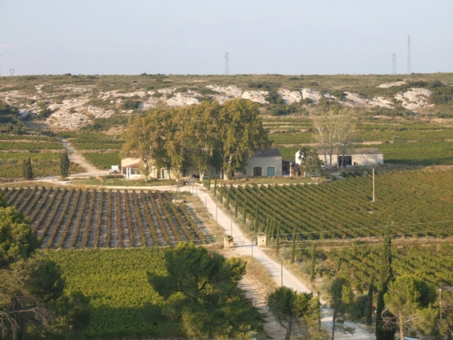 Le domaine